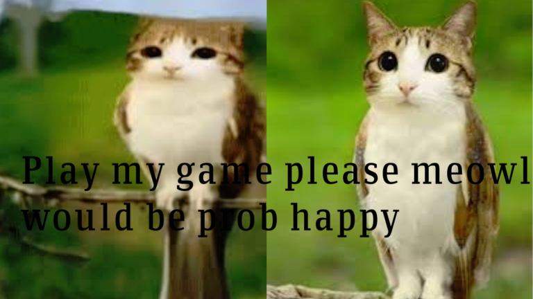 Meowl Obby But YOU are Meowl! screenshot 2