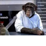Yooo monkey