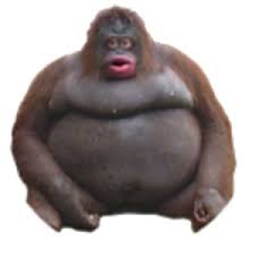 monke IS life