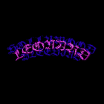 0venz Clothing