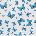 Butterflyxsqaud
