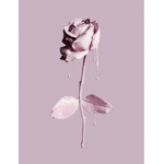 Diana99831