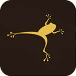Leap Games