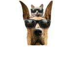 The cool kids group !!