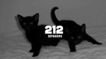 212w