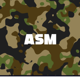 Fort ASM 1.0 [BETA]