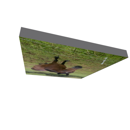 Kitea Spawn Point
