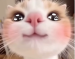 睡眠組。