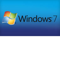 Windows obby