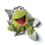 Kermit's clothing