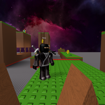 ninja Run Track