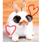 BUNN1ES ARE THE BEST