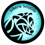 Siberia Wildlife: Staff
