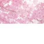 Sakura Sanctuary Productions