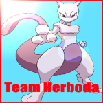 I Team HerbodaI PMBB