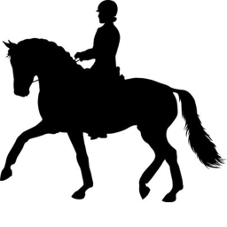 .+ Rushing Water Eventing Academy +.