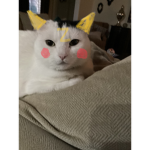 Slays SQUISHMALLOWS