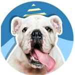 Bulldog power!!!