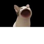 Boy memer gaming