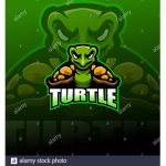 Team tortue de roblox