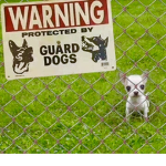 Guard dog group