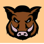 - The Boars studios -