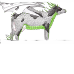 Rare Dragonss