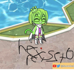 HEX,S store