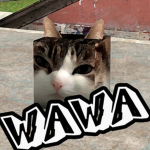 Wawa Productions
