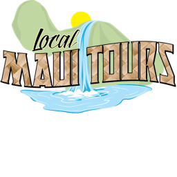 Maui Tour's
