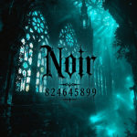 _Noir