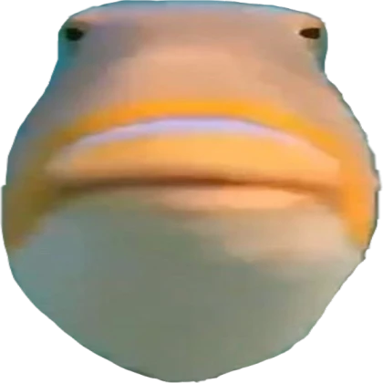 fish.