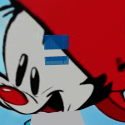 wakko obby