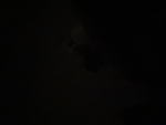 Sienna_cloud1234