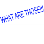 WHAT ARE THOSE!!!