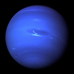 Neptune Cafe