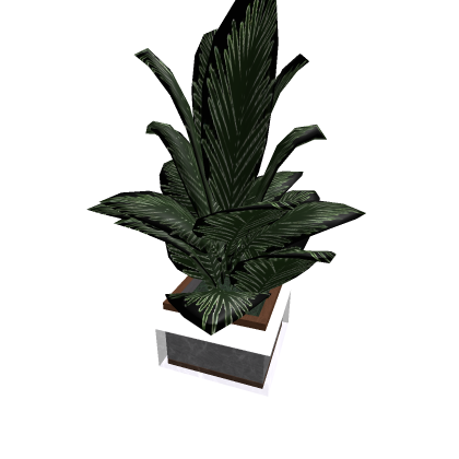 Plant
