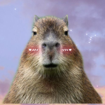Aaaaaaaaaaaaaaaaaaaaaaaaaaaaaaaaaaaaaaa aaaaaaaaa