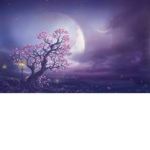 The Guardians of the Night [ RP Group ]