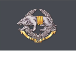 [UKR] Ukrainian Special Forces.
