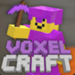 VoxelCrafts Studios