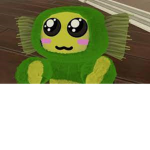 Coco the no no bear