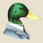 Duck Inc.