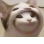 Pop cat group)))))****