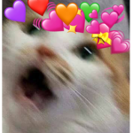 Cat with hearts group