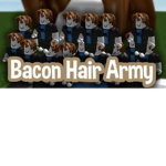 The bacon hair$
