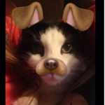 Hi pls join I'm new to this