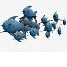 fish home base