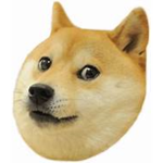 Doge fantime