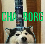 charborg